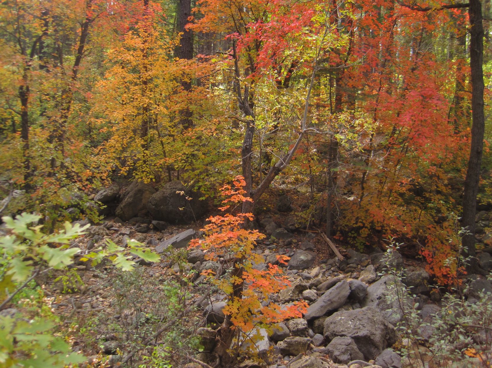Harding Springs Trail